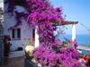 Villa Gelsomina
